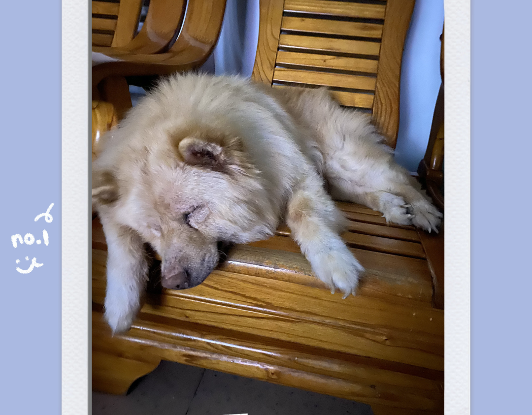 夏色泡影_夏色泡影_夏色泡影