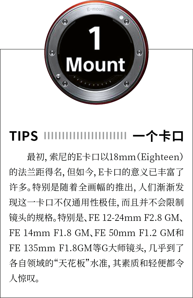相机afc怎么调改变业界，2013-2023全画幅微单十年记_https://www.jmylbn.com_新闻资讯_第10张