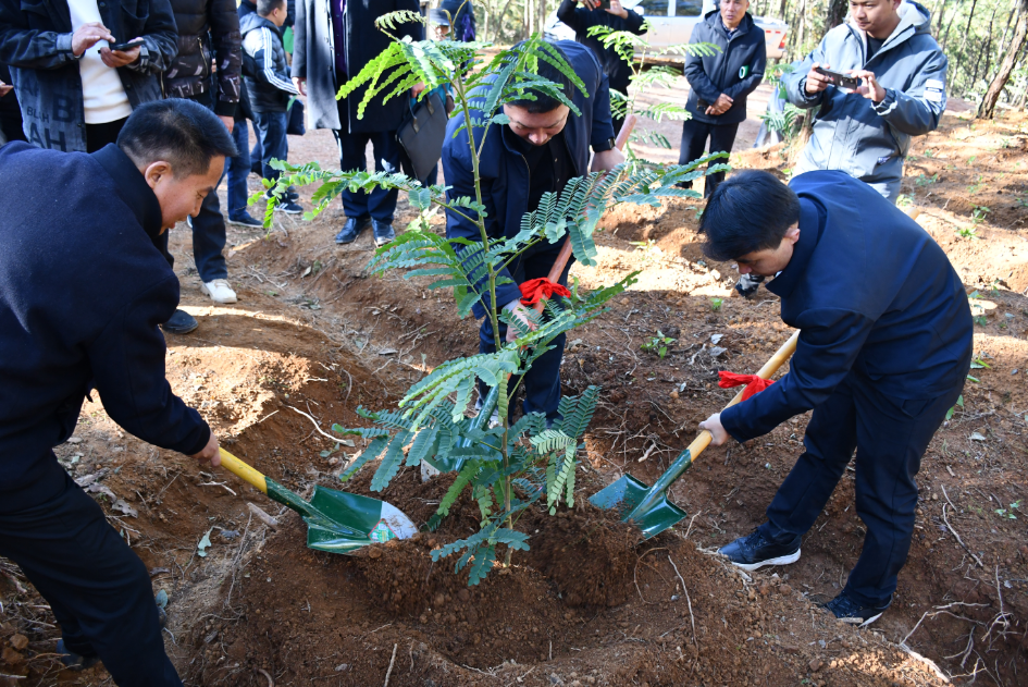 保山市施甸縣森林資源及林下經(jīng)濟(jì)開發(fā)項(xiàng)目在酒房鄉(xiāng)麥地山開工