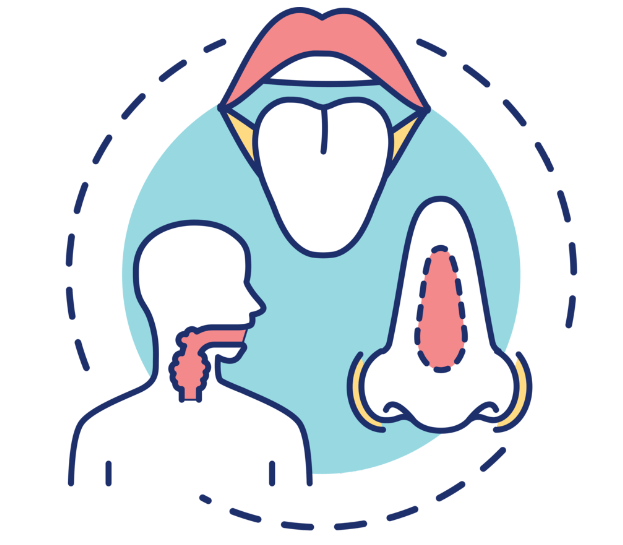 耳鼻喉内窥镜检查是检查什么耳鼻喉科学防护——耳鼻喉内窥镜检查_https://www.jmylbn.com_新闻资讯_第2张