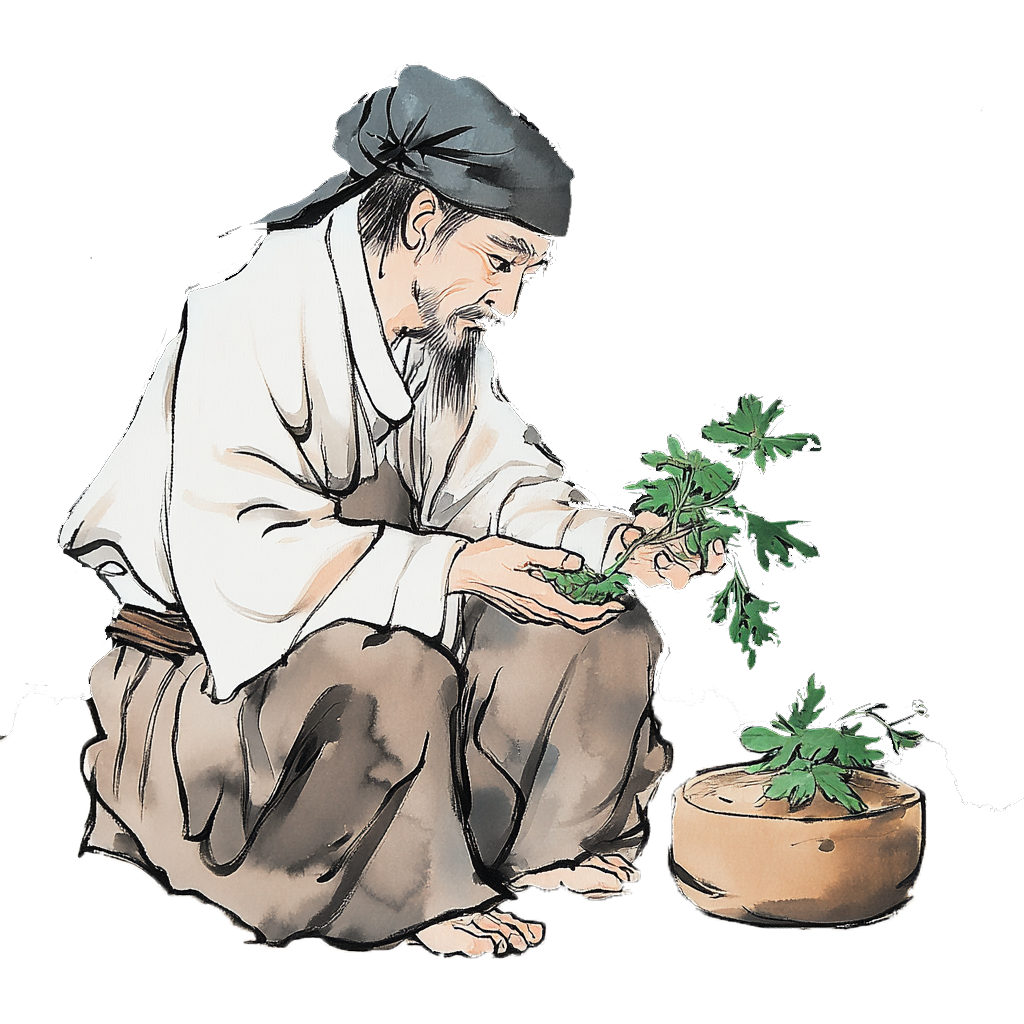 雷火灸的成分是什么【金医科普】一缕雷火暖经络，半盏艾香护鼻安——雷火灸守护呼吸舒适感_https://www.jmylbn.com_新闻资讯_第18张