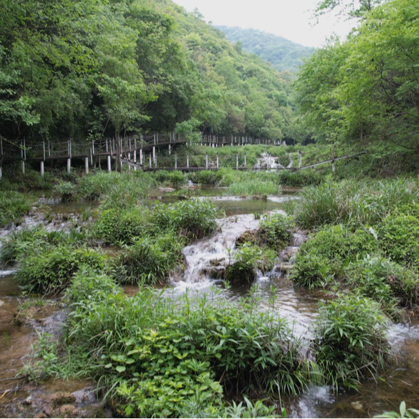 中盛電氣志合越山海，聚力共前行