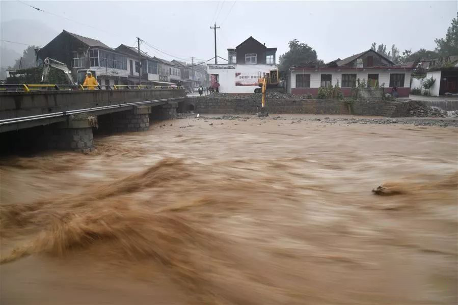 三天下了两年的雨，今年台风有多离谱