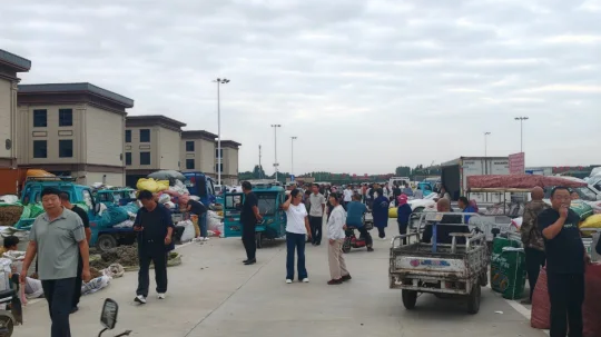 安国地产市场行情（10.1）