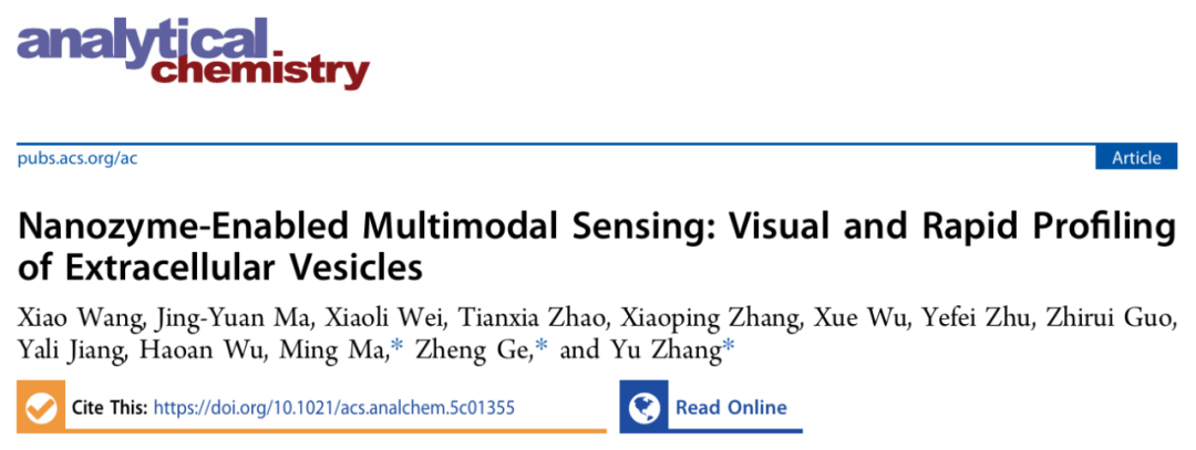 Anal Chem｜东南大学研究团队：联合应用高性能磁珠与纳米酶实现多模态快速检测恶性淋巴瘤细胞外囊泡