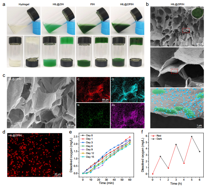 Nature Communications原位水凝胶喷剂——术后肿瘤复发转移和伤口愈合治疗新工具