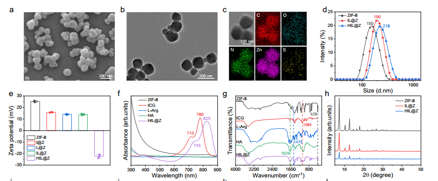 Nature Communications原位水凝胶喷剂——术后肿瘤复发转移和伤口愈合治疗新工具