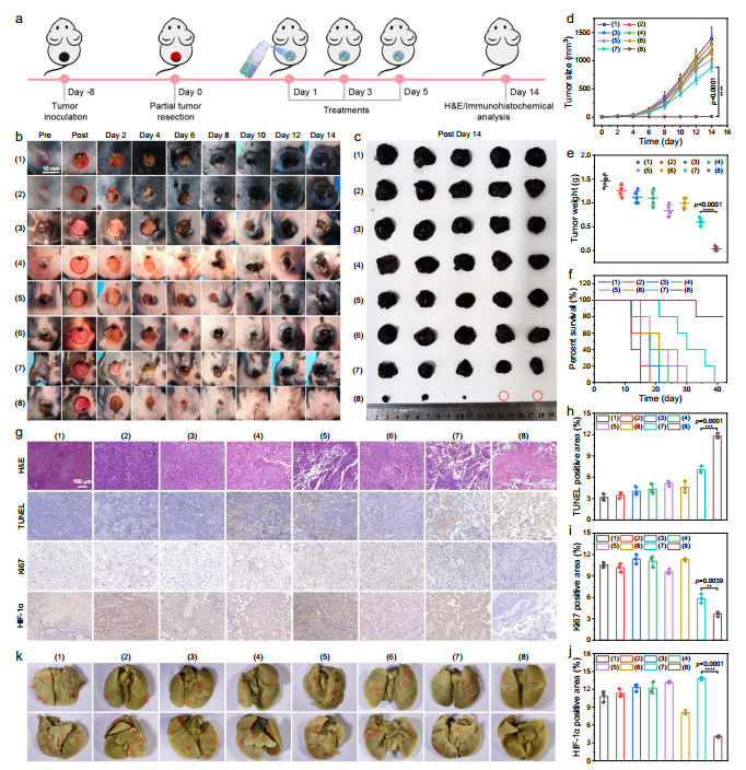 Nature Communications原位水凝胶喷剂——术后肿瘤复发转移和伤口愈合治疗新工具