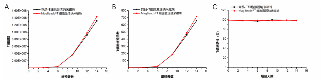 东纳免疫微纳米磁珠,助力细胞分选/激活