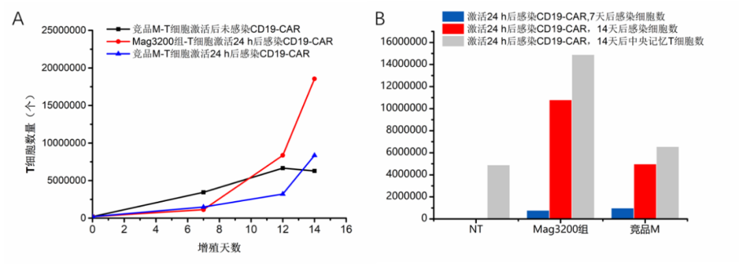 细胞分选磁珠原料你选好了吗