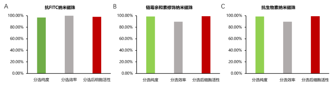 东纳免疫微纳米磁珠,助力细胞分选/激活