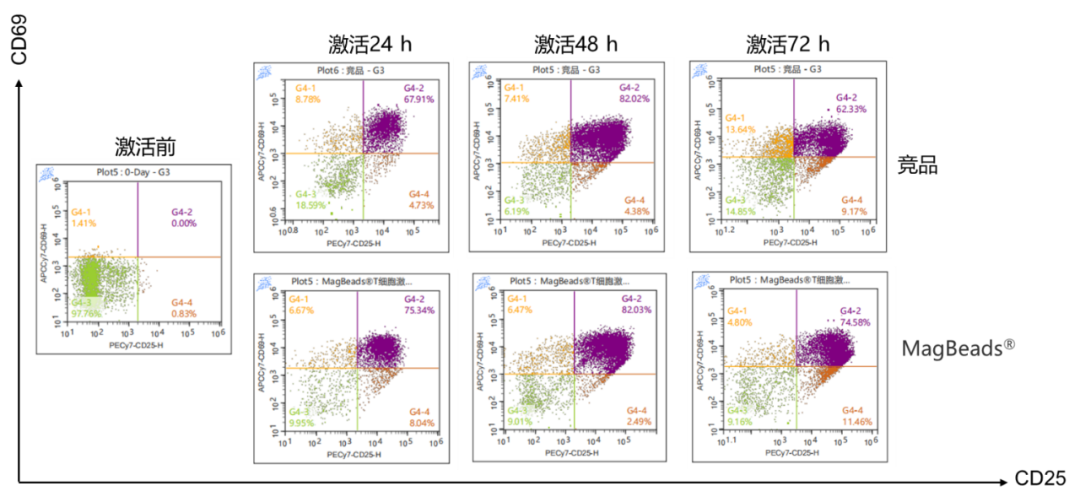 东纳免疫微纳米磁珠,助力细胞分选/激活