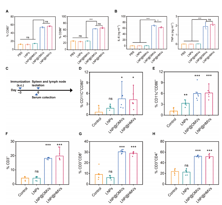 Sci Adv: 细胞膜功能化载药脂质纳米粒：双靶向、高效抗菌、激活免疫