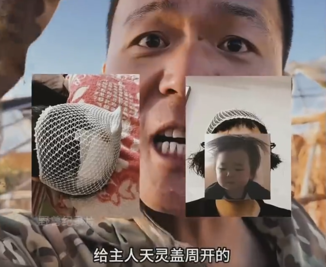 “训狗一哥”潘宏又出事，要求主人签“百万赔偿合同”，这事你站谁？