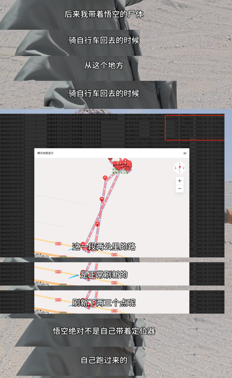 网红小猫悟空疑因中毒去世，博主赵朔曝光细节，疑点重重！可以不爱，但请不要加害！