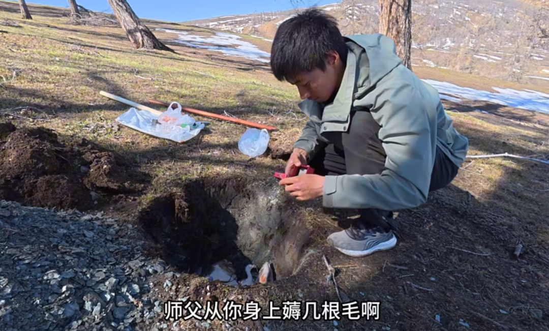 网红小猫悟空疑因中毒去世，博主赵朔曝光细节，疑点重重！可以不爱，但请不要加害！