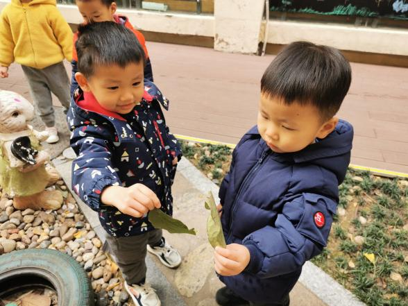 幼儿经验心得_幼儿经验心得_幼儿经验心得