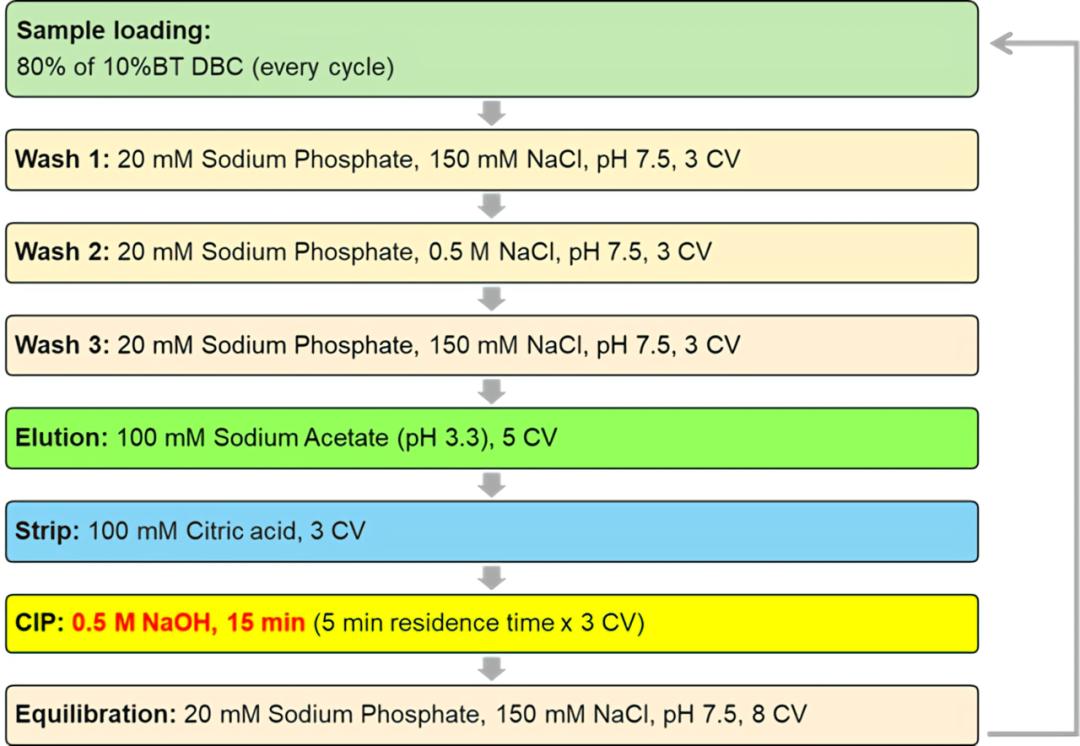 MBL全新JSR蛋白A親和層填料已發售
