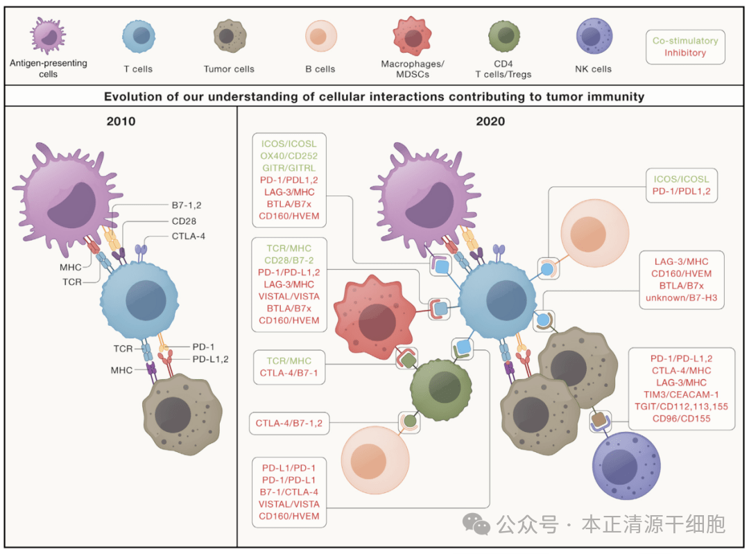 2万余字 聚焦肿瘤免疫治疗, 细胞 2021深度解读与全面盘点