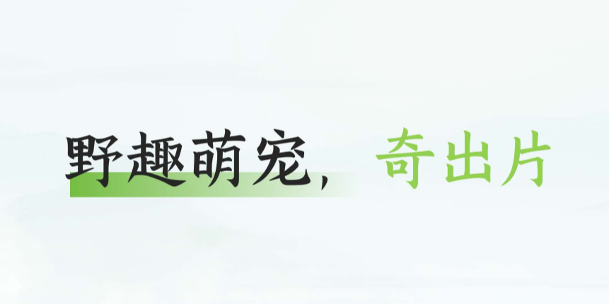 7.7包你出片-5 文旅委_02.png