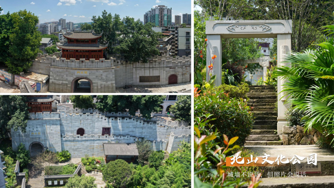 7.7包你出片-5 文旅委_15.png