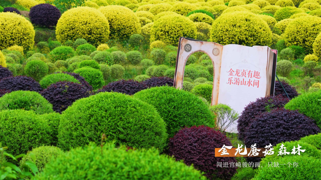 7.7包你出片-5 文旅委_09.png
