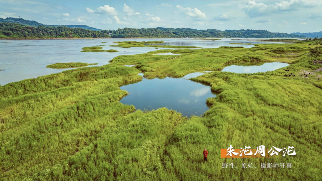 7.7包你出片-5 文旅委_24.png