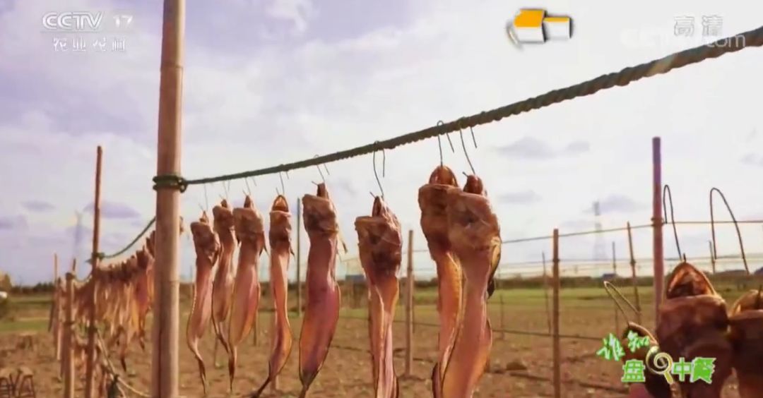 南通美味再上央视！这次聚焦的是如东本港海鲜