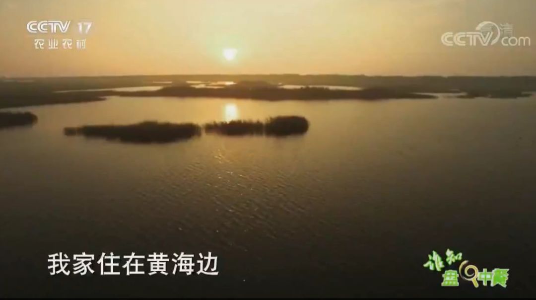 南通美味再上央视！这次聚焦的是如东本港海鲜