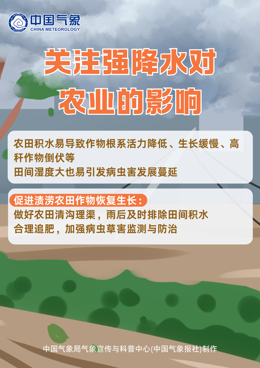 桦加沙二次登陆广西北海