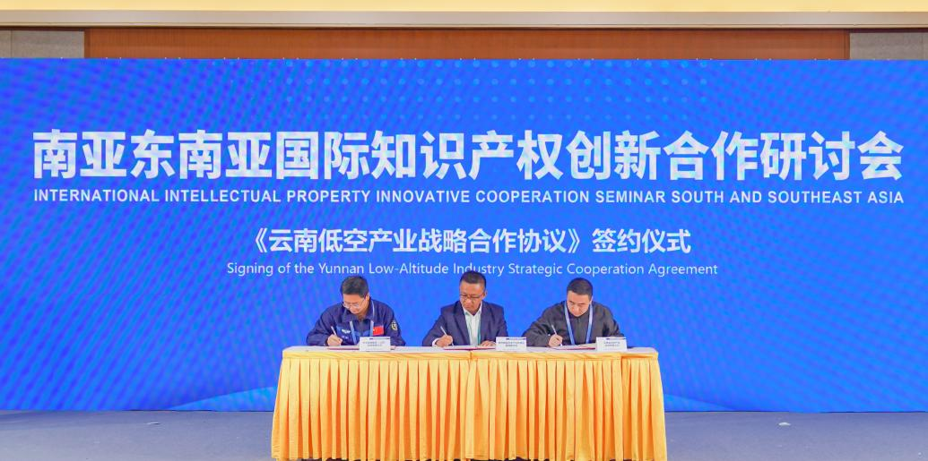 南亚东南亚国际知识产权创新合作研讨会3.png