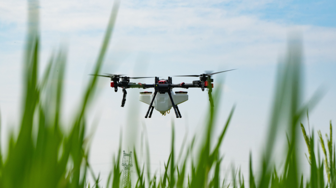 极飞植保无人机如果说汤小敏属于"成长型"的领导者,那么王敏娜和李慕