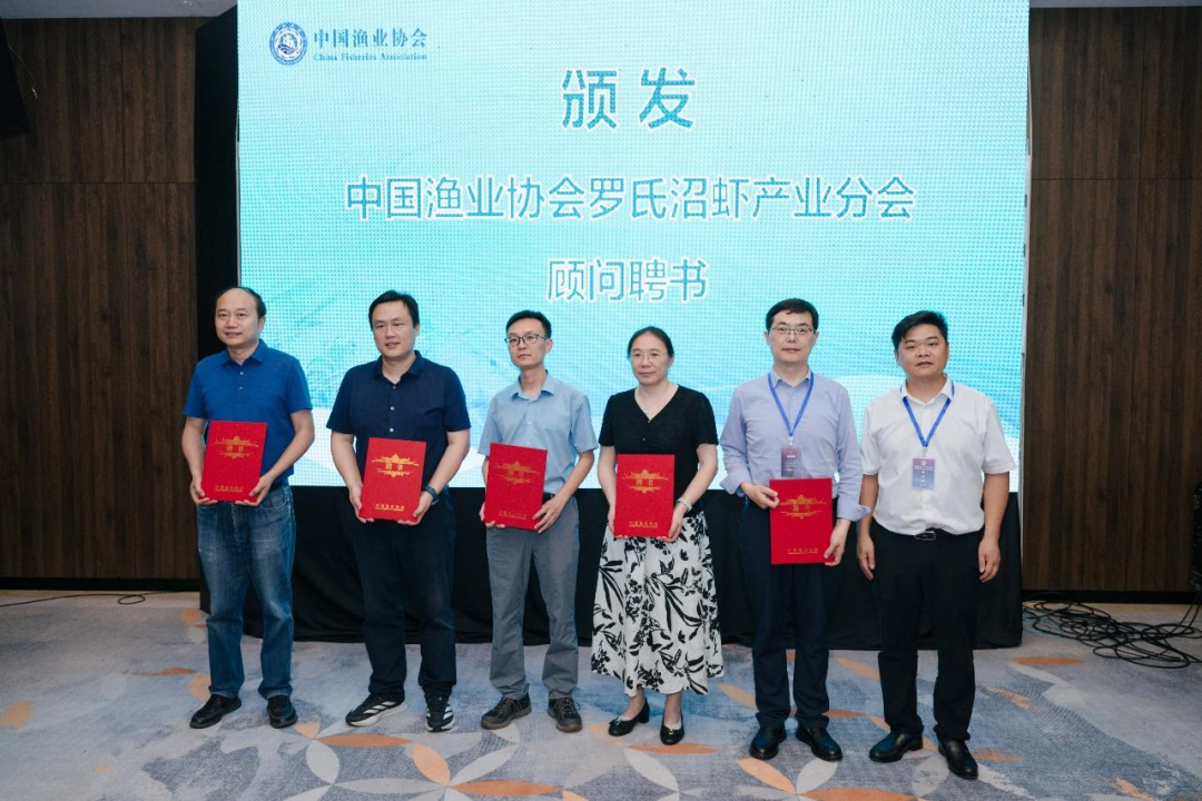 罗氏602怎么关机全产业链协同创新发展！中国渔协罗氏沼虾产业分会在湖州成立_https://www.jmylbn.com_新闻资讯_第10张