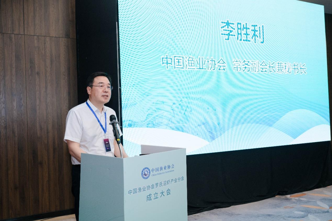 罗氏602怎么关机全产业链协同创新发展！中国渔协罗氏沼虾产业分会在湖州成立_https://www.jmylbn.com_新闻资讯_第7张