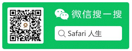 挺嘎挺嘎画派|非洲绘画艺术的瑰宝 挺嘎挺嘎画派|非洲绘画艺术的瑰宝