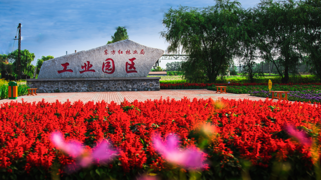 8万立方米累计为国家生产木材东方红林业局有限公司从1963年到2014年