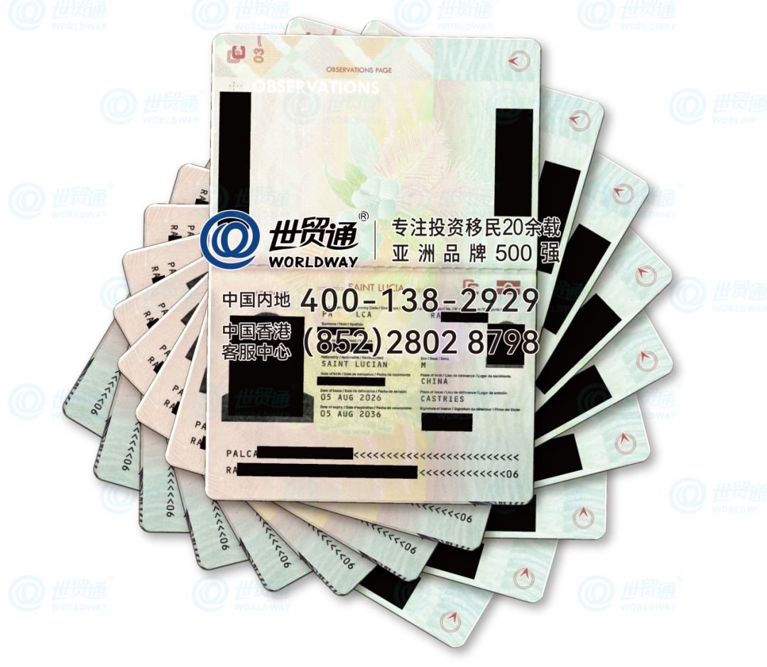 圣卢西亚护照批量到手，他们是怎么做到的？