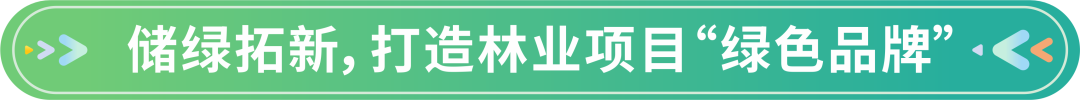 640 (9).png