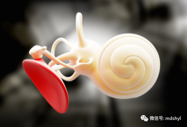 听力筛查仪怎么看国产听力筛查仪TE／DP／AABR系列_https://www.jmylbn.com_新闻资讯_第13张