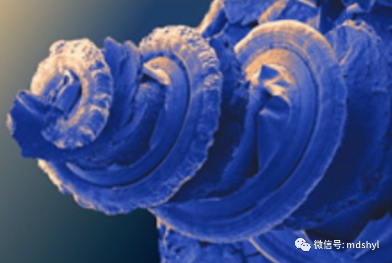 听力筛查仪怎么看国产听力筛查仪TE／DP／AABR系列_https://www.jmylbn.com_新闻资讯_第10张