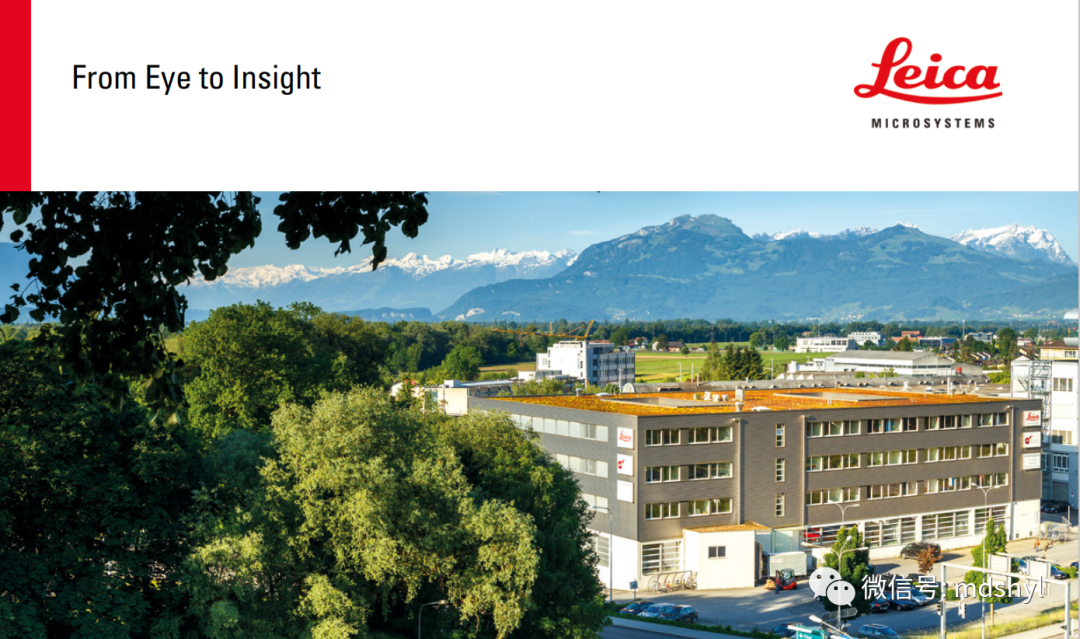 耳鼻喉治疗台怎么消毒麦迪生医疗‖耳鼻喉科相关常用高值耗材大全_https://www.jmylbn.com_新闻资讯_第113张