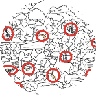 模拟找猫猫游戏