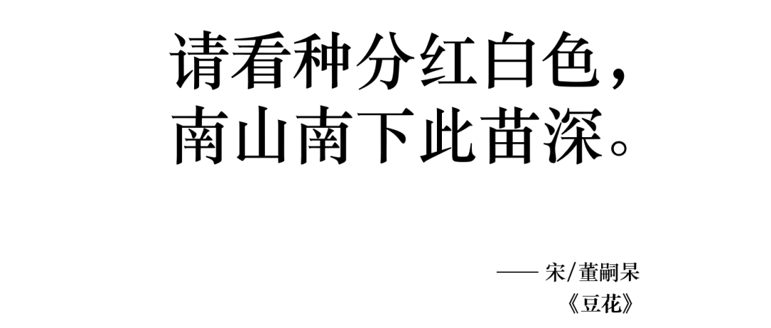 深圳婚庆公司