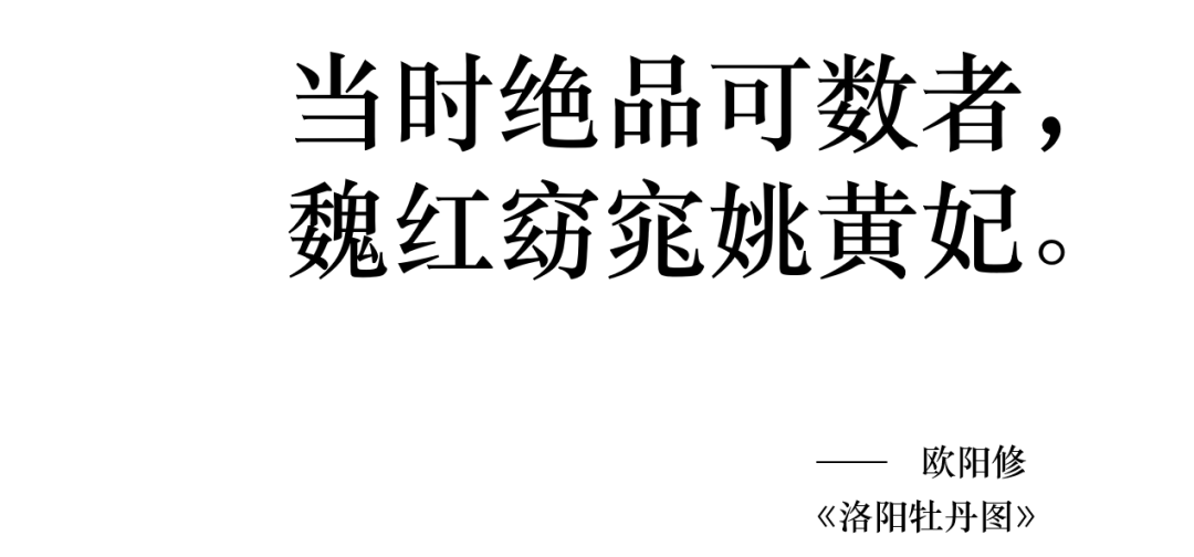 深圳婚庆公司