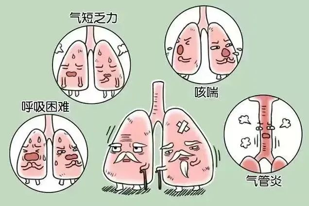 导致的声带振动发声，持续咳嗽引起的全身性不适，想必很多人深有体会。🔺不管是“咳”还是“喘”，一定是负