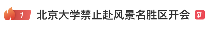 (图1)
