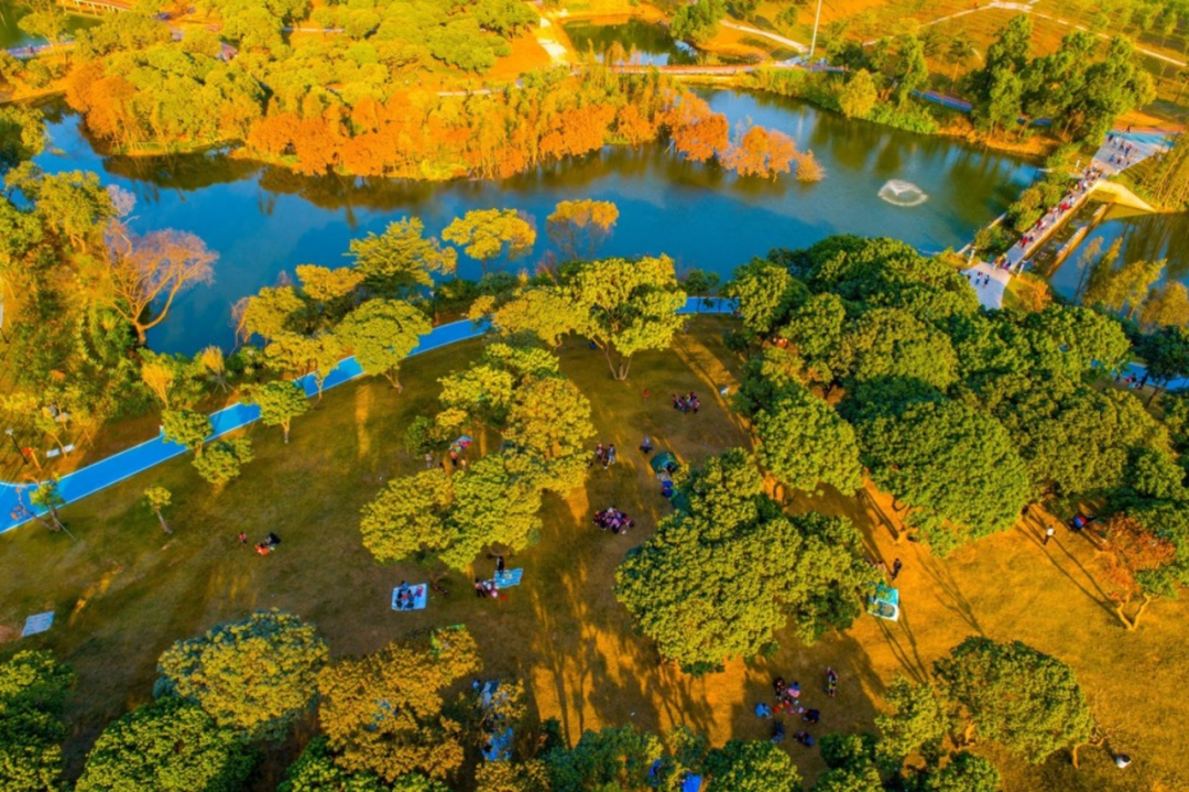 百县千镇万村高质量发展工程78 | 珠海市"以绿促发展",全面推进"百