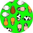 动物消消连连看