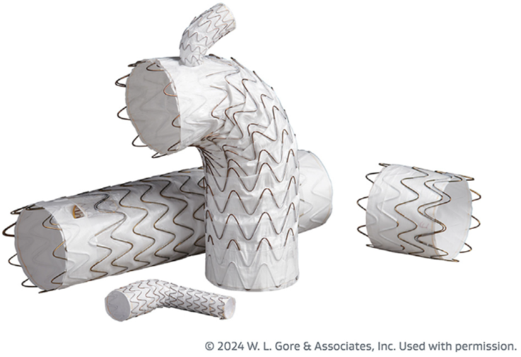 gore医疗怎么样GORE TAG分支型胸主动脉覆膜支架治疗Stanford B型主动脉夹层的中期临床结果_https://www.jmylbn.com_新闻资讯_第6张