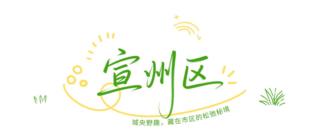 绿白色涂鸦照片风户外活动小红书封面.png